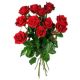 Ett dussin rosor