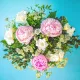 Rosa pioner