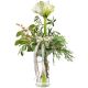Vit amaryllis